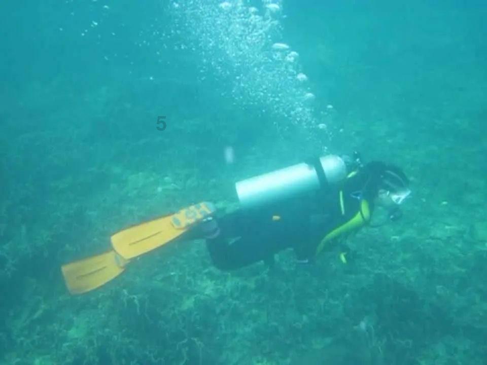 蓝狐视频