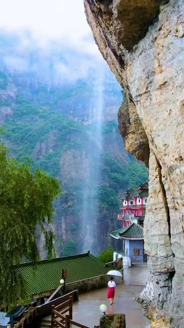 虎鲸为什么怕座头鲸