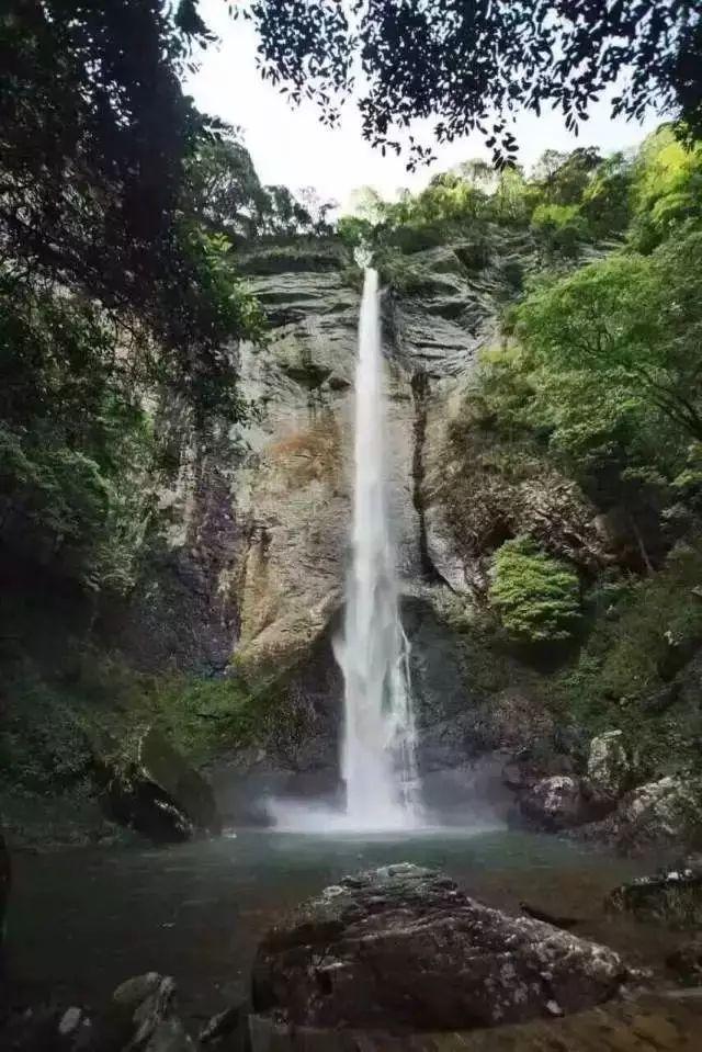 小猫钓鱼游戏龙王版有船